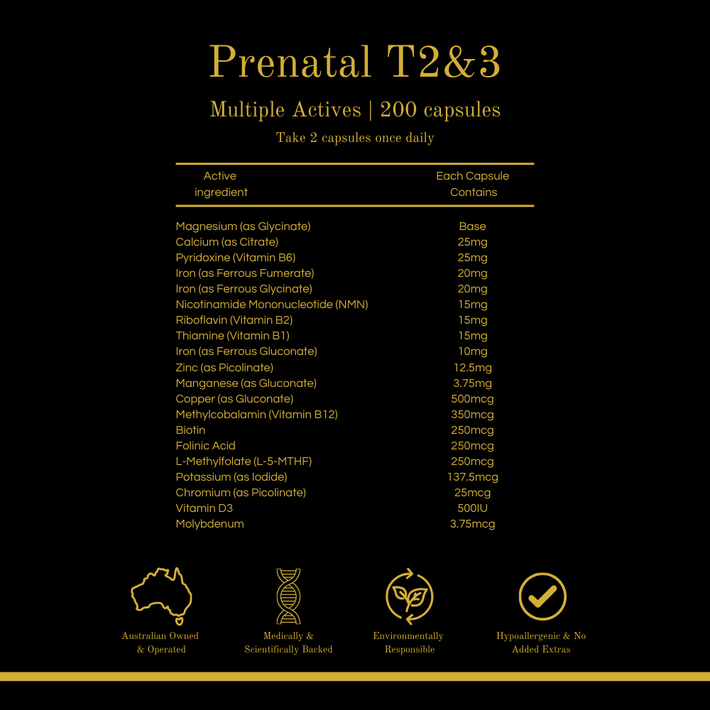 Prenatal T2&3